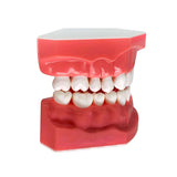 Flosser Sonic Toothbrush- LBailar - LBailar